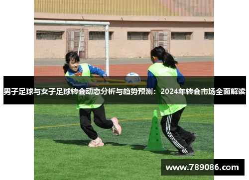 男子足球与女子足球转会动态分析与趋势预测：2024年转会市场全面解读